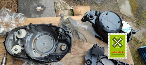 IMG_20230827_132322